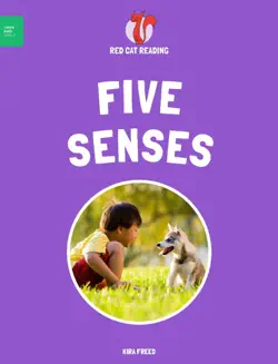 five senses book cover image
