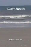 A Daily Miracle sinopsis y comentarios