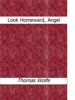 look homeward, angel book cover image