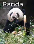 Panda sinopsis y comentarios