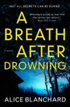 A Breath After Drowning synopsis, comments