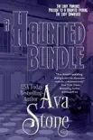 A Haunted Bundle synopsis, comments