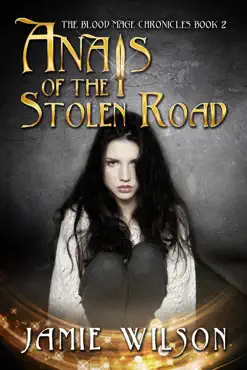anais of the stolen road book cover image