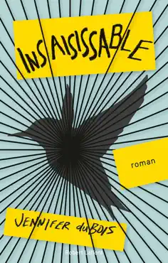 insaisissable book cover image