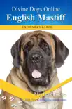 English Mastiff synopsis, comments