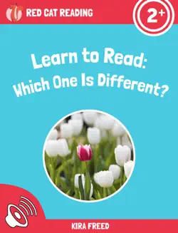 learn to read: which one is different? book cover image