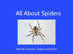 all about spiders book cover image