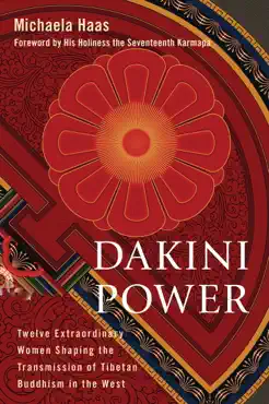 dakini power book cover image