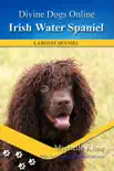 Irish Water Spaniel synopsis, comments