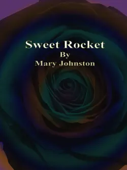 sweet rocket book cover image