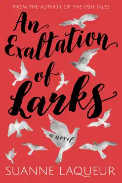 an exaltation of larks book cover image
