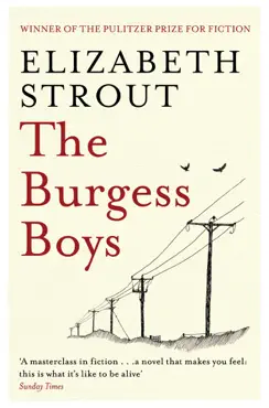 the burgess boys imagen de la portada del libro