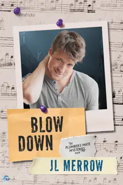 blow down book cover image