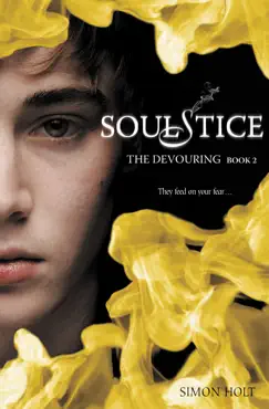 soulstice book cover image