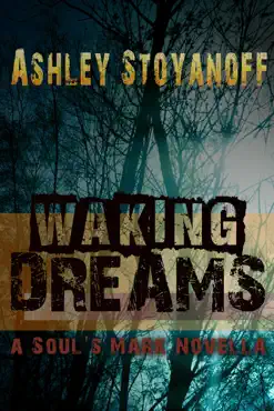 waking dreams book cover image