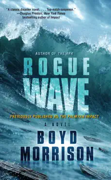 rogue wave book cover image