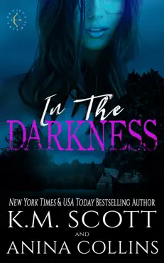in the darkness book cover image
