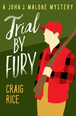 trial by fury book cover image