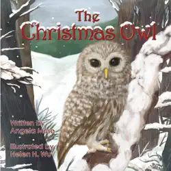 the christmas owl book cover image