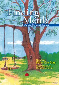 finding mettle book cover image