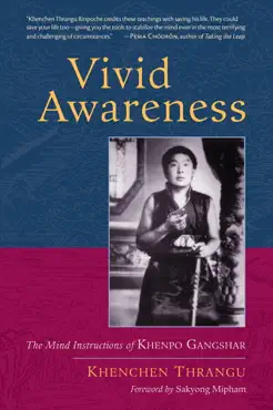vivid awareness book cover image
