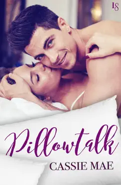 pillowtalk book cover image