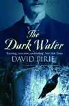 The Dark Water sinopsis y comentarios