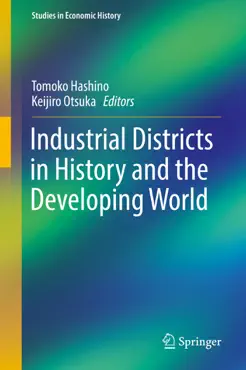 industrial districts in history and the developing world book cover image