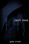 Dark room synopsis, comments