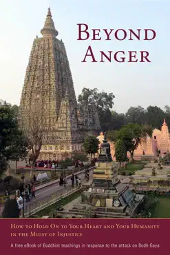 beyond anger book cover image