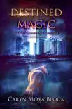 Destined Magic, A Witch Guardian Romance synopsis, comments