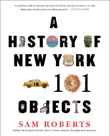 A History of New York in 101 Objects synopsis, comments