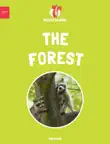 The Forest sinopsis y comentarios