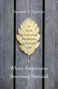 when awareness becomes natural book cover image