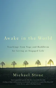 awake in the world book cover image