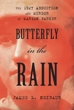 butterfly in the rain book cover image