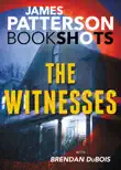 The Witnesses synopsis, comments