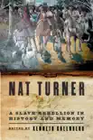 Nat Turner synopsis, comments