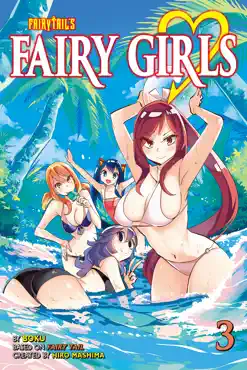 fairy girls volume 3 book cover image