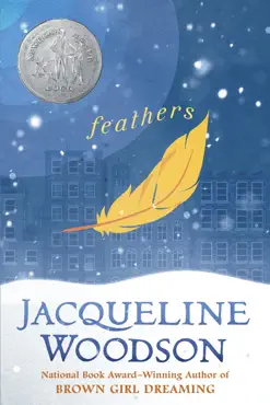 feathers book cover image