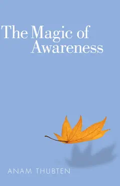 the magic of awareness book cover image