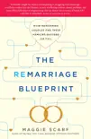 The Remarriage Blueprint synopsis, comments