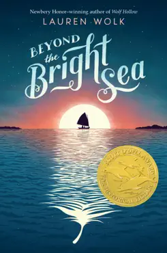 beyond the bright sea book cover image