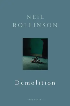 demolition book cover image