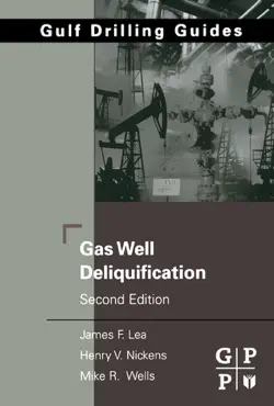 gas well deliquification book cover image
