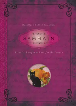 samhain book cover image