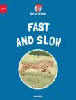 Fast and Slow sinopsis y comentarios