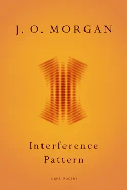 interference pattern book cover image