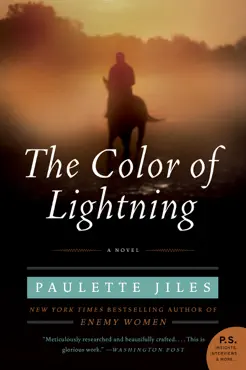 the color of lightning book cover image
