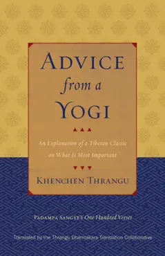 advice from a yogi book cover image
